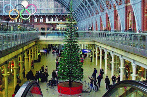 Tree of hope
