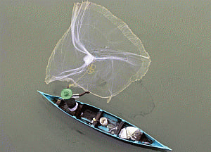 TN fishermen chased away by Sl navy, fishing nets snapped