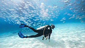 Scuba diving may damage your teeth