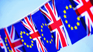 Democracy is about values, not referendum