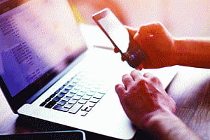 Meteoric rise of netizens