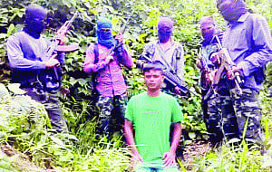 UlFA abduction horror