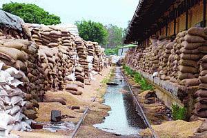 India is self-sufficient, but millions go hungry