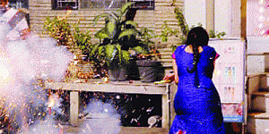 This Diwali, let the plants breathe too