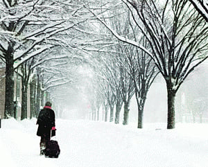 Monster blizzard hits US East Coast