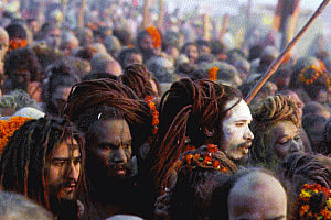 Fear not the Aghoris, they are spiritual too