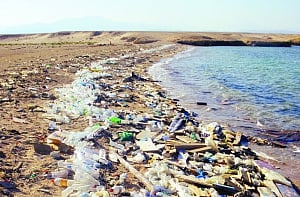 Protecting and conserving life below water