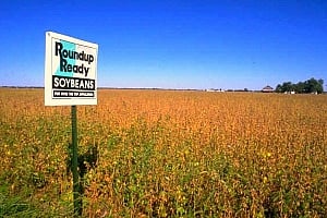 Monsanto's Roundup and risk of cancer