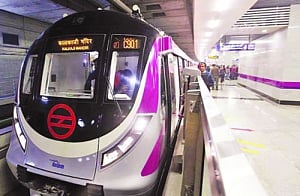 A magenta celebration
