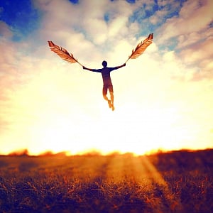 Searching for happiness