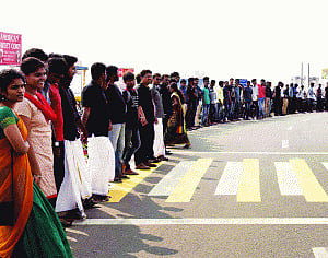6 TN dists defy Jallikattu ban as people bristle with rage