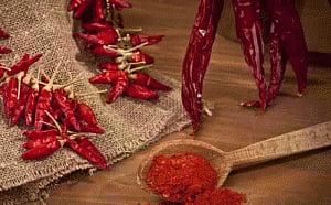 Eating red chilli may help you live longer