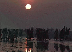Six die in mad rush to board ship at Gangasagar
