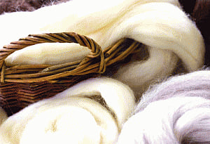 House panel bids to revive Shahtoosh industry