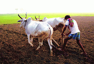 5% interest subsidy on crop loan