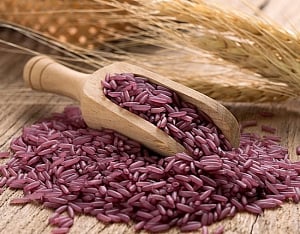 GM purple rice that can cut cancer, diabetes risk developed