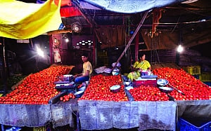 Tomato soars as supply dries up; Govt keeps tabs