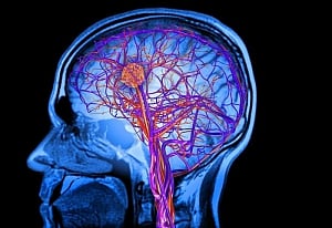 Higher IQ in childhood linked to a long life: Study