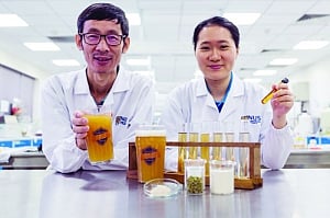 Now, gulp probiotic beer