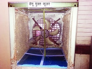 NMC to promote dengue free coolers to curb disease