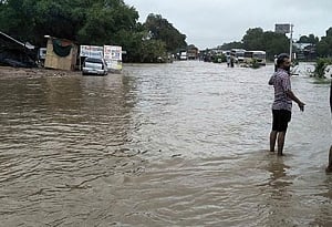 Agri Minister visits flood-hit areas of Gujarat
