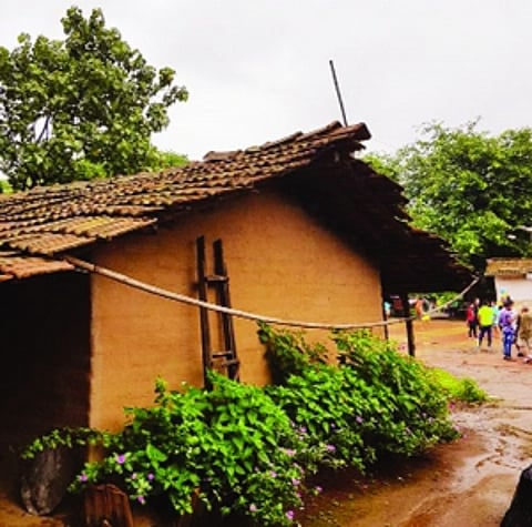 Saving Aarey