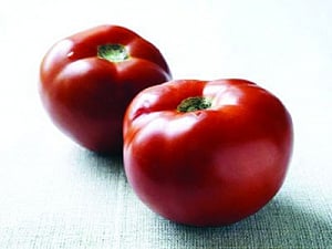 Niti to make tomato cheap sought