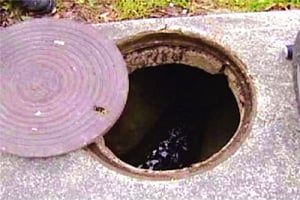 2 more lives snuffed out in sewer