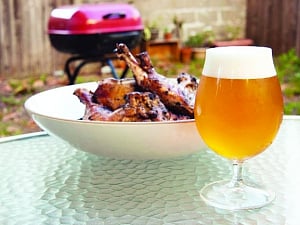 Chicken and beer top metro combo