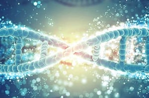 Genes causing intellectual disabilities identified