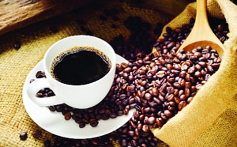 Taste Indian luwak coffee
