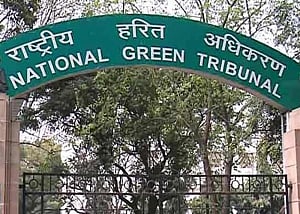 NGT directs Centre to submit report on steps to clean Ganga