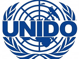 Talks on to expand clean leather technology in India: UNIDO