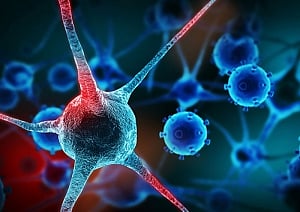 Scientists find way to stop cancer cells from using glucose