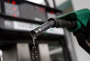Congress demands petroleum products, real estate be brought under GST