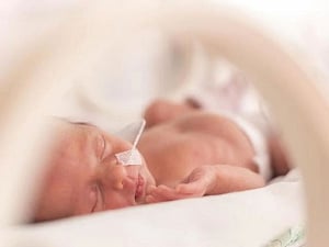 Why preemies have impaired lungs