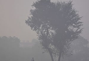 Cold wave grips UP, fog disrupts normal life