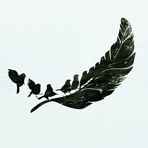 Birds of a feather