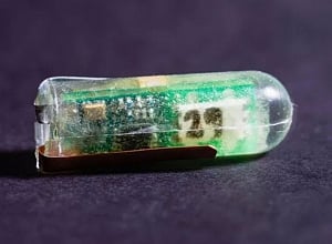 Ingestible capsule to accurately diagnose gut disorders