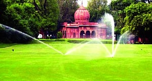 Delhi's elite club rips up green cover