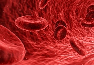 New compound may reverse human cell ageing: Study