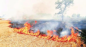 Centre's Rs 575-cr plan to douse stubble fire