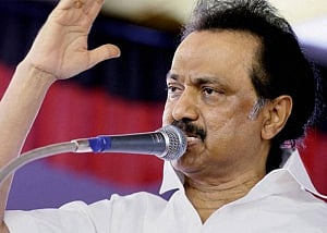 I pleaded for burial space at Marina: Stalin