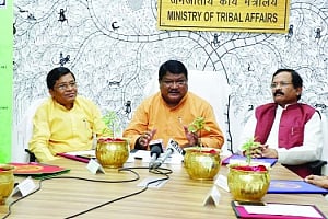 How a forest can rescue tribals