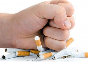 Delhi official wins WHO award on tobacco control initiative