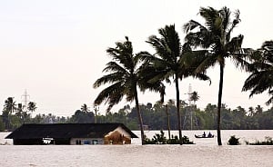 Only 2.5% Kerala farmers insured