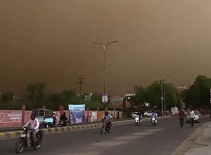 Afforestation of lands in Rajasthan, Gujarat to help reduce dust pollution in Delhi: TERI