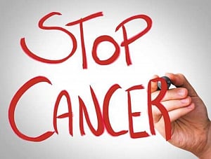 'Protein behind cancer spread identified'
