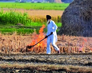 A Burning Issue
