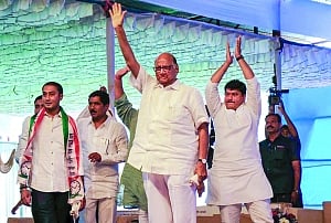After SP & BSP, NCP decides to go solo in MP